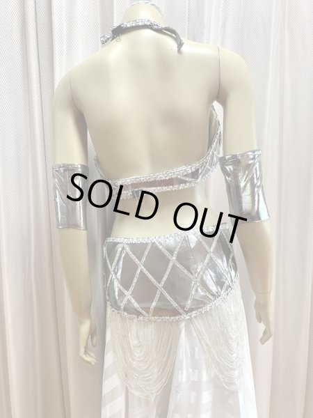 画像5: ゴールデンエラスタイルブラベルトコスチューム（アーム、ベール200×140cm付き） (5)