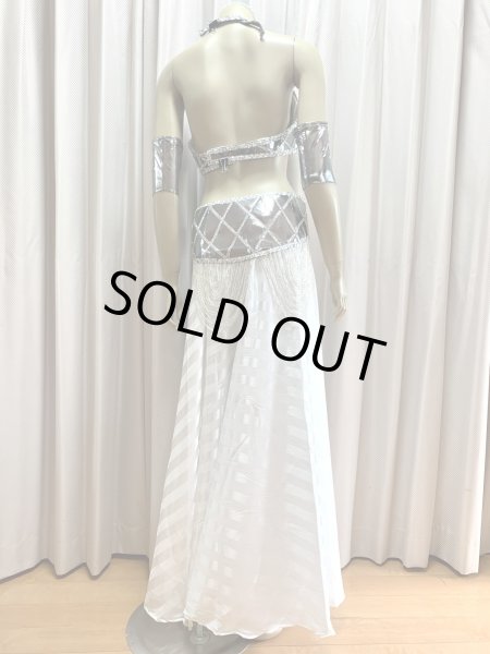 画像6: ゴールデンエラスタイルブラベルトコスチューム（アーム、ベール200×140cm付き） (6)