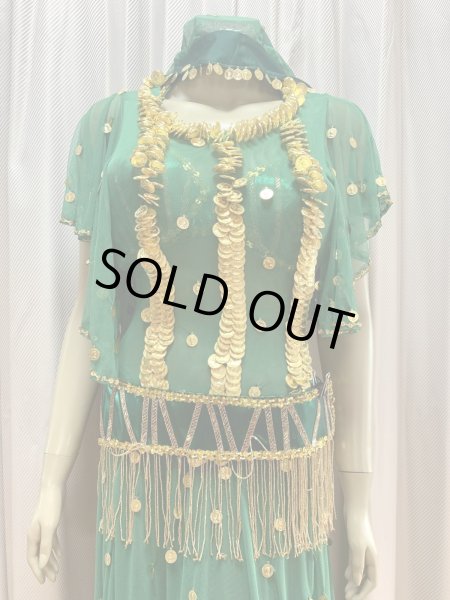 画像3: ゴールデンエラ・ブラベルト付きワンピースコスチューム（ヘッドベール付き） (3)