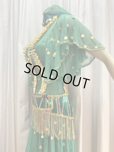 画像5: ゴールデンエラ・ブラベルト付きワンピースコスチューム（ヘッドベール付き） (5)