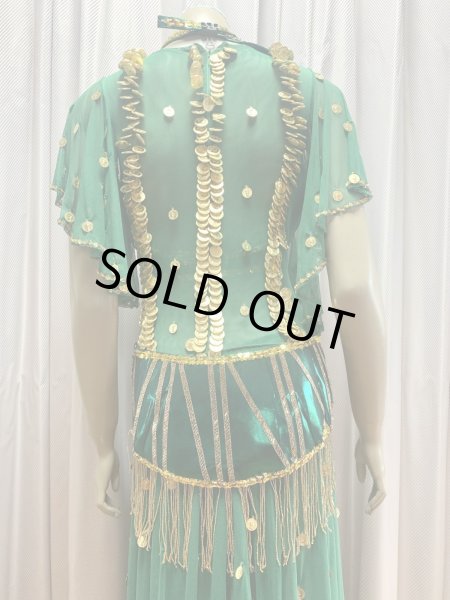 画像7: ゴールデンエラ・ブラベルト付きワンピースコスチューム（ヘッドベール付き） (7)