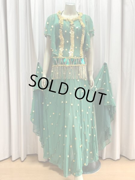 画像8: ゴールデンエラ・ブラベルト付きワンピースコスチューム（ヘッドベール付き） (8)