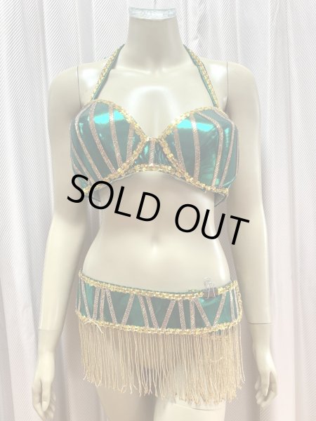 画像2: ゴールデンエラ・ブラベルト付きワンピースコスチューム（ヘッドベール付き） (2)