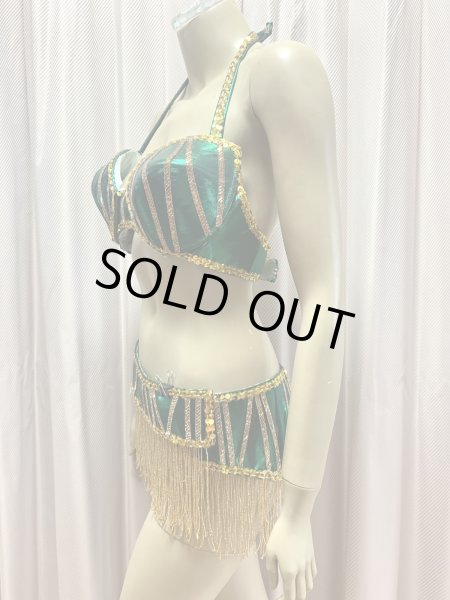 画像9: ゴールデンエラ・ブラベルト付きワンピースコスチューム（ヘッドベール付き） (9)