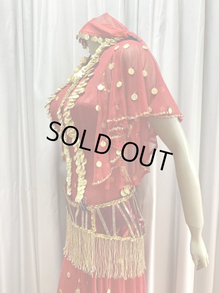 画像5: ゴールデンエラ・ブラベルト付きワンピースコスチューム（ヘッドベール付き） (5)