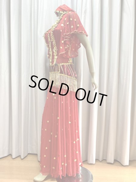 画像6: ゴールデンエラ・ブラベルト付きワンピースコスチューム（ヘッドベール付き） (6)