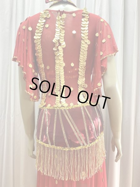 画像8: ゴールデンエラ・ブラベルト付きワンピースコスチューム（ヘッドベール付き） (8)