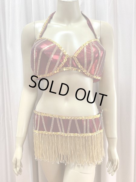 画像2: ゴールデンエラ・ブラベルト付きワンピースコスチューム（ヘッドベール付き） (2)