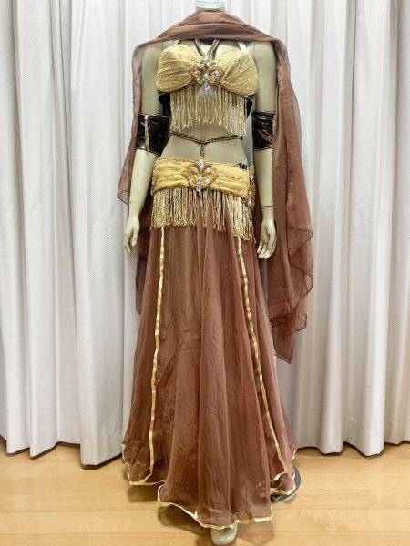 画像1: オールドスタイル・バイカラーブラベルトコスチューム (1)