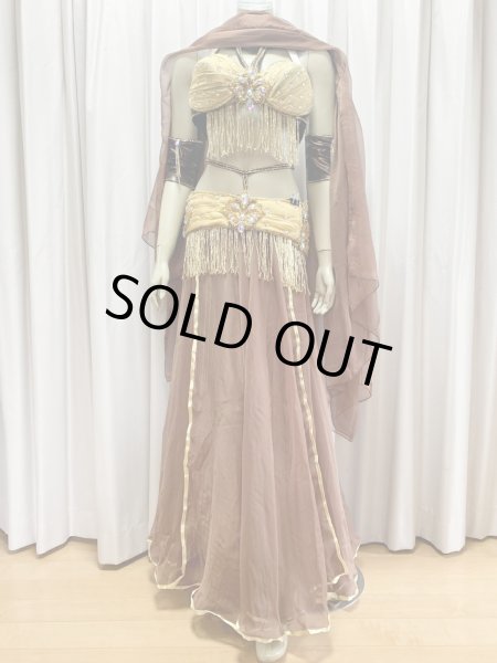 画像1: オールドスタイル・バイカラーブラベルトコスチューム (1)