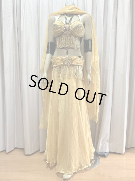 画像1: オールドスタイル・バイカラーブラベルトコスチューム (1)