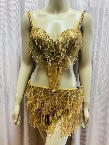 画像1: フリンジブラベルトコスチューム (1)