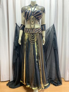 ベリーダンス バラ　衣装　ブラベルト　スカート ブラベルトコスチューム(スカート） - ベリーダンスグッズ専門店Hanine