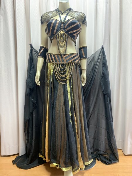 画像1: Tahia Kariokaスタイル　ブラベルトコスチューム (1)