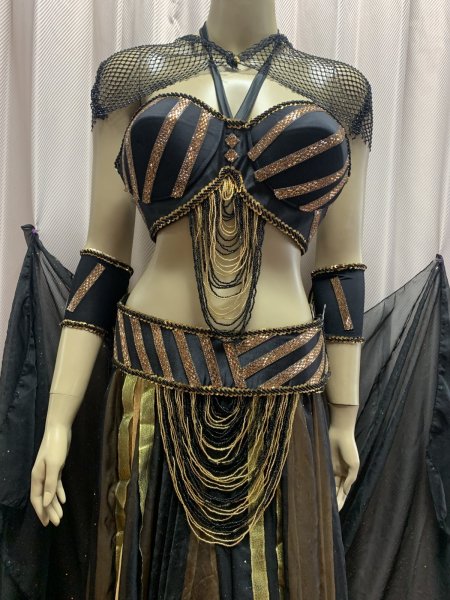 画像2: Tahia Kariokaスタイル　ブラベルトコスチューム (2)