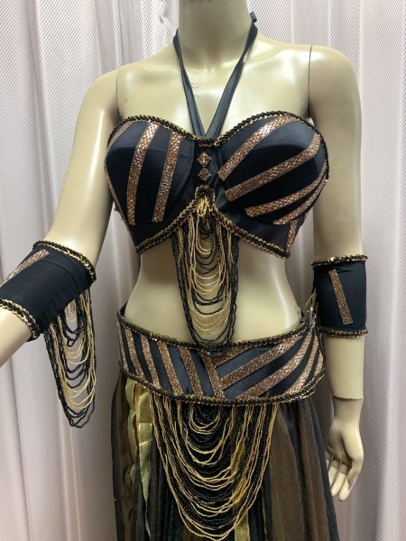 画像6: Tahia Kariokaスタイル　ブラベルトコスチューム (6)