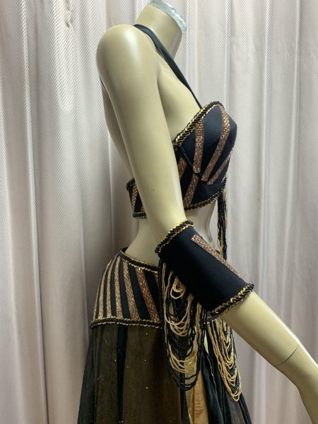 画像7: Tahia Kariokaスタイル　ブラベルトコスチューム (7)