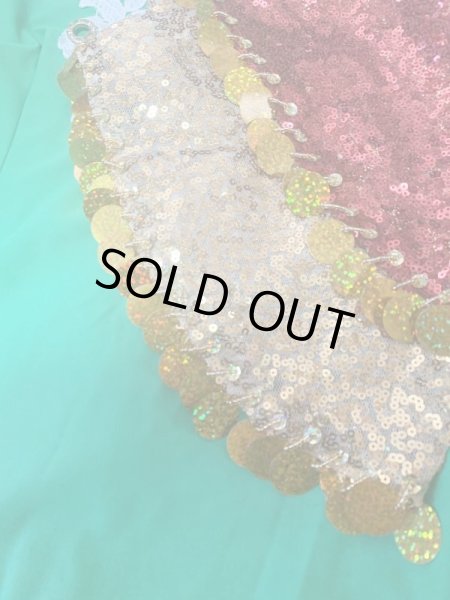 画像9: ハッガーラコスチューム（3点セット） (9)