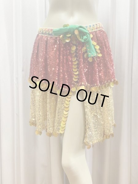 画像10: ハッガーラコスチューム（3点セット） (10)