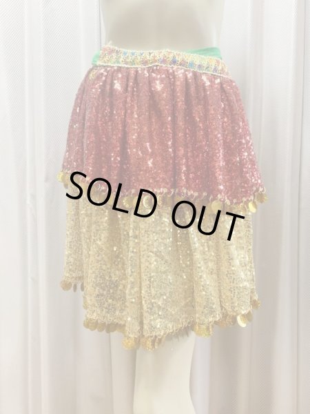 画像11: ハッガーラコスチューム（3点セット） (11)