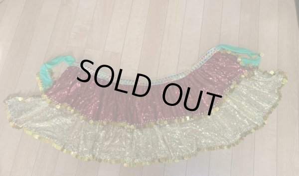 画像12: ハッガーラコスチューム（3点セット） (12)