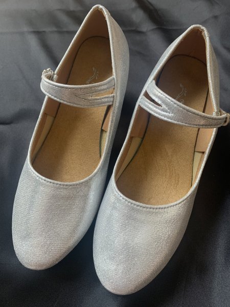 画像1: フォークロア　シルバーパンプス(ステージ用） (1)