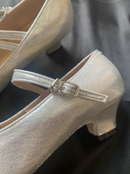 画像2: フォークロア　シルバーパンプス(ステージ用） (2)