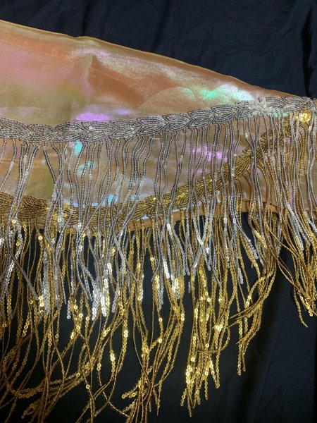 画像5: フリンジ付きゴールドヒップスカーフ (5)