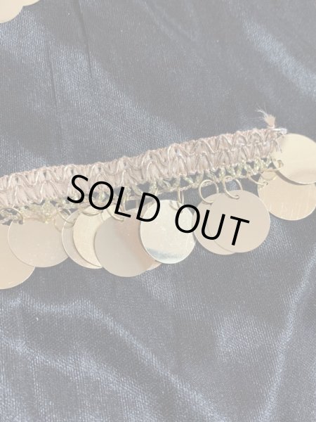 画像2: 郵送OK！プラスチックコインスパンコール　装飾テープ(ゴールド×ゴールド）50cm (2)