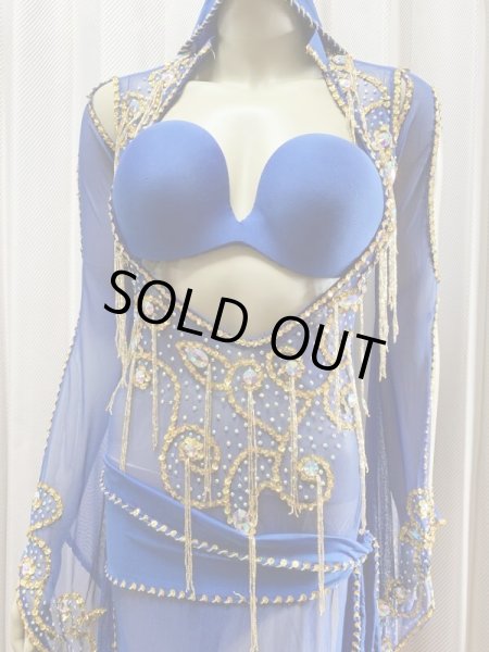 画像4: Hanine特注パワーネット生地サイーディドレス (4)