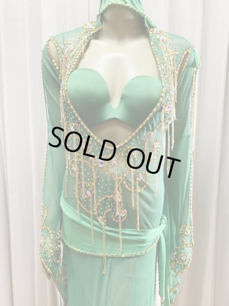 画像5: Hanine特注パワーネット生地サイーディドレス (5)