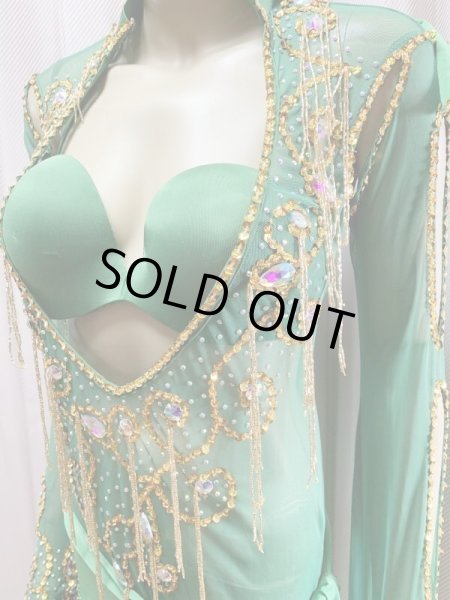 画像6: Hanine特注パワーネット生地サイーディドレス (6)