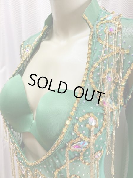 画像4: Hanine特注パワーネット生地サイーディドレス (4)