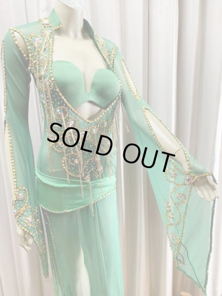 画像3: Hanine特注パワーネット生地サイーディドレス (3)