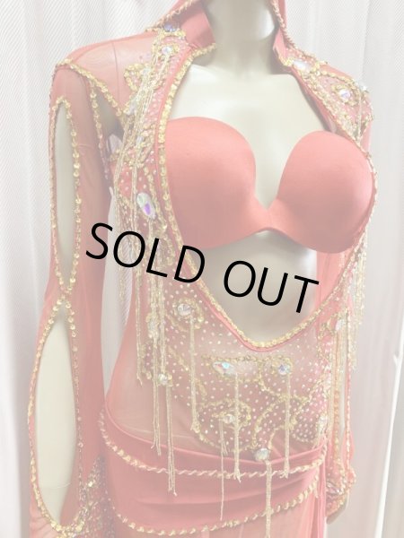 画像2: Hanine特注パワーネット生地サイーディドレス (2)