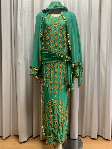 画像2: サイーディ、ガワージードレス(ヘッドベール、ヒップスカーフ付き) (2)