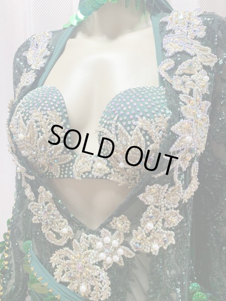 画像3: Hanine特注ブラカップ付きサイーディドレス(5点セット） (3)