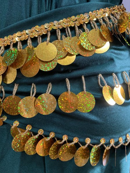 画像6: サイーディ、ガワージードレス (6)