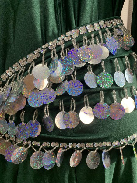 画像6: サイーディ、ガワージードレス (6)