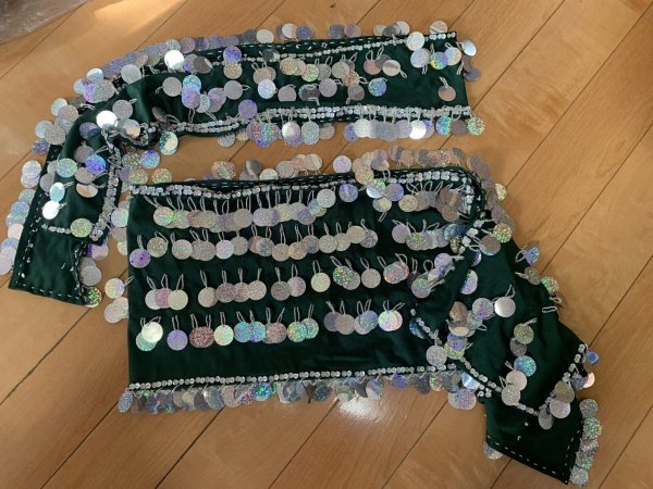 画像7: サイーディ、ガワージードレス (7)