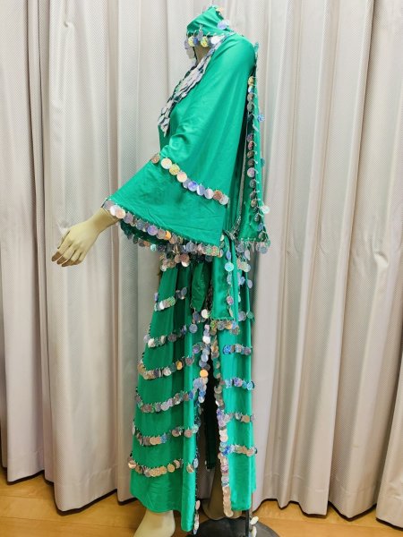 画像4: サイーディ、ガワージードレス (4)