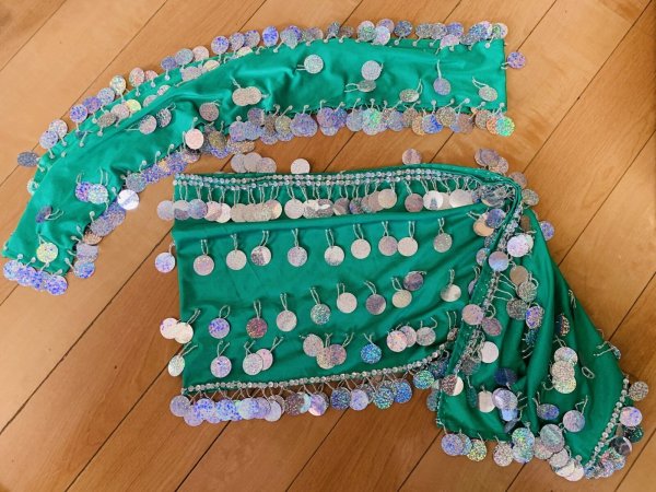 画像6: サイーディ、ガワージードレス (6)