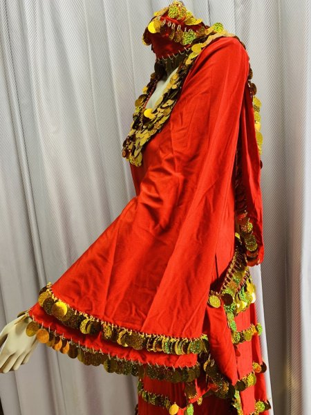 画像3: 【訳あり価格】サイーディ、ガワージードレス (3)