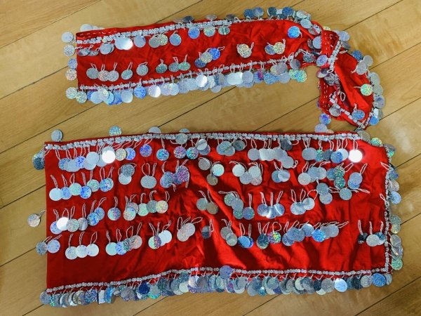 画像4: サイーディ、ガワージードレス (4)