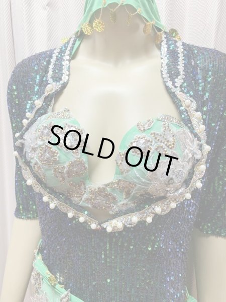 画像2: スパンコールバラディドレス（5点セット） (2)