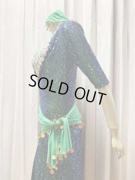 画像6: スパンコールバラディドレス（5点セット） (6)