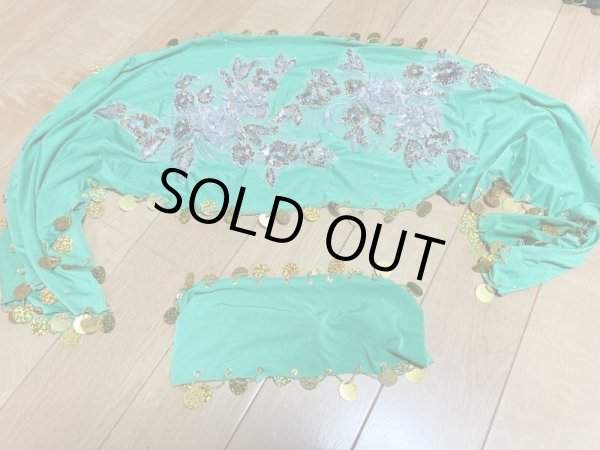 画像7: スパンコールバラディドレス（5点セット） (7)