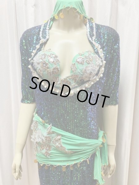 画像3: スパンコールバラディドレス（5点セット） (3)