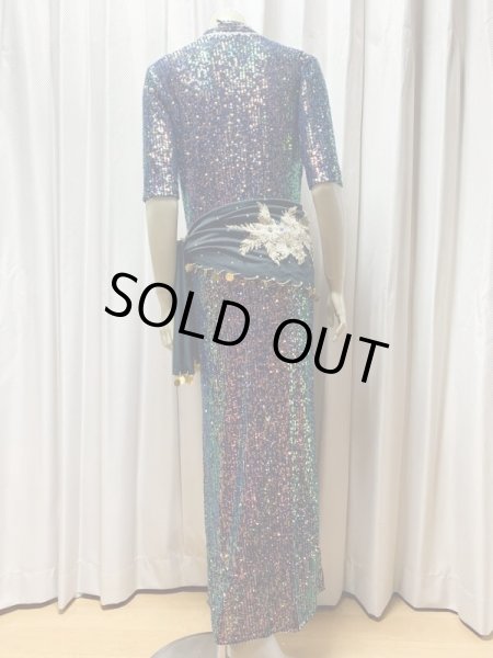 画像4: スパンコールバラディドレス（5点セット） (4)