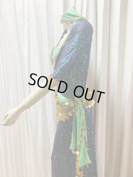 画像5: スパンコールバラディドレス（5点セット） (5)